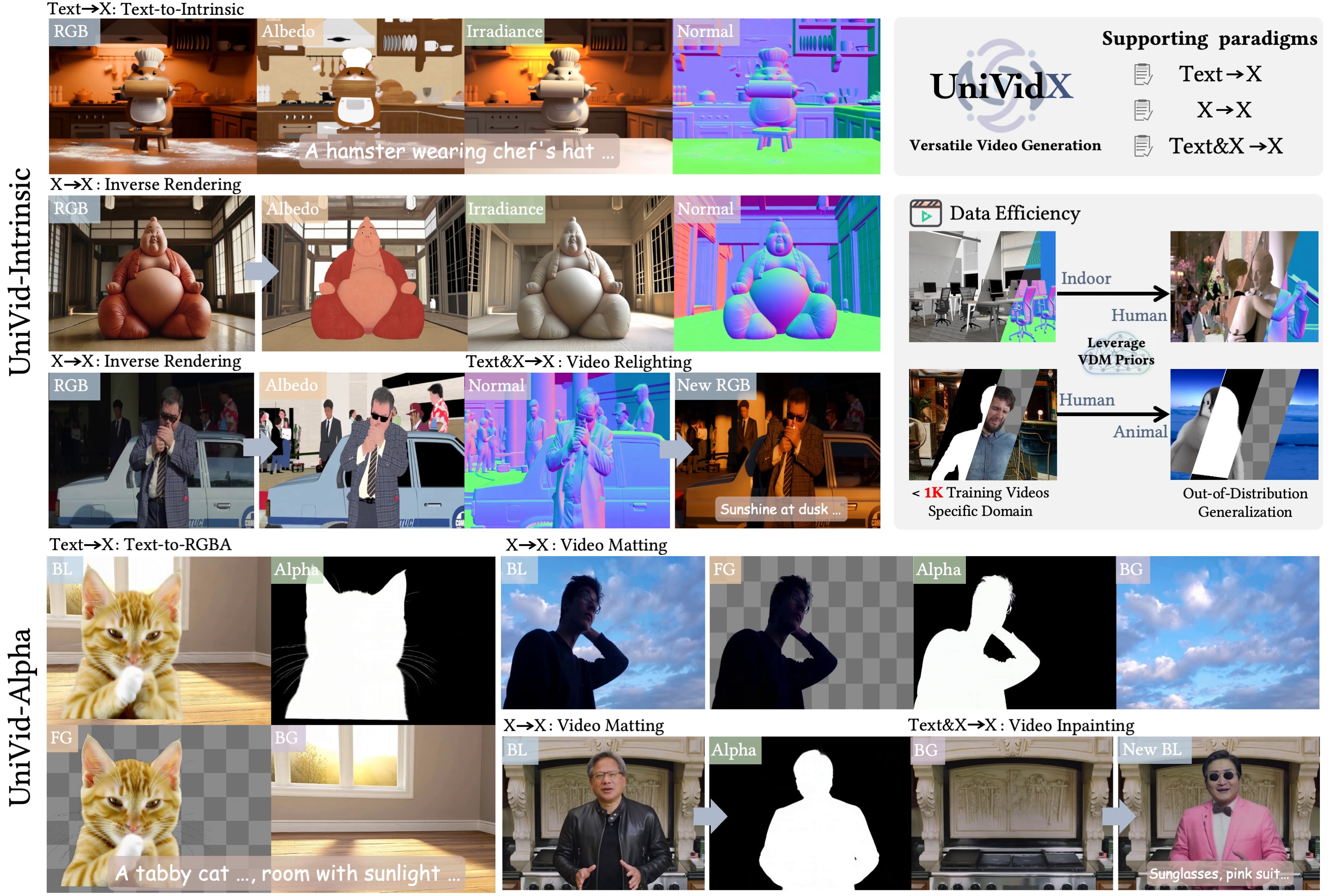 UniVidX